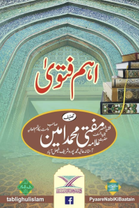 Aham Fatwa